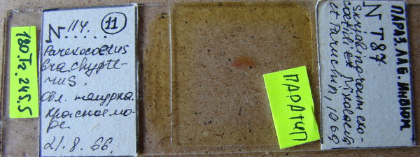 Collection item 180.Tr