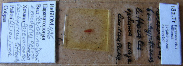 Collection item 182.Tr