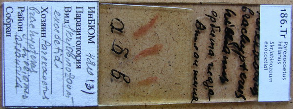 Collection item 186.Tr