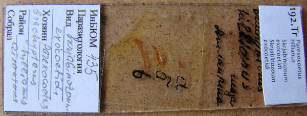 Collection item 192.Tr