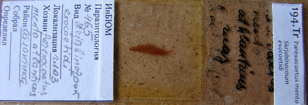 Collection item 194.Tr