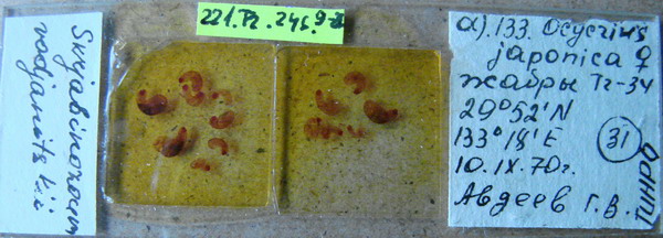 Collection item 221.Tr