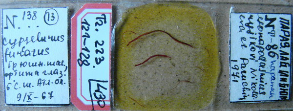 Collection item 223.Tr