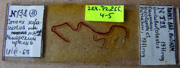 Collection item 224.Tr