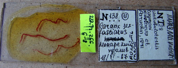 Collection item 227.Tr