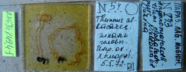 Collection item 276.Tr