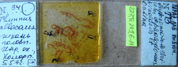 Collection item 277.Tr