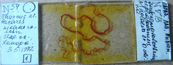 Collection item 283.Tr