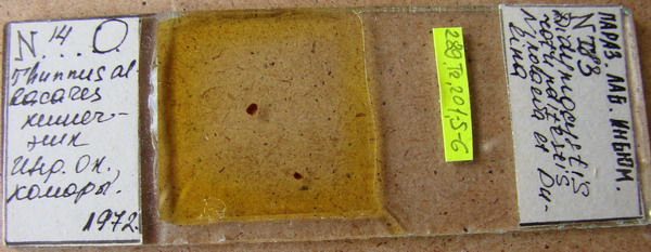 Collection item 289.Tr