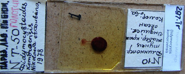 Collection item 297.Tr