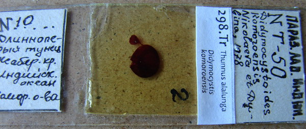 Collection item 298.Tr