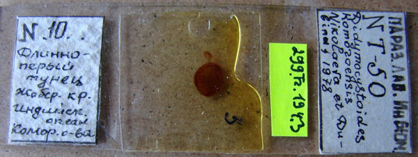 Collection item 299.Tr