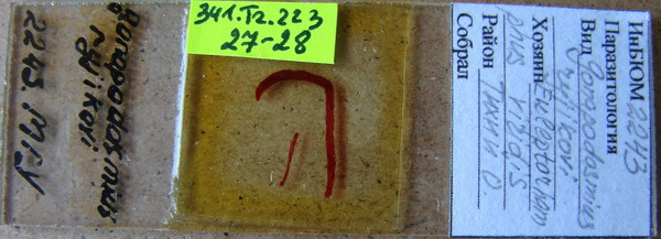 Collection item 341.Tr