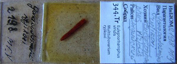 Collection item 344.Tr