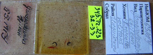 Collection item 345.Tr