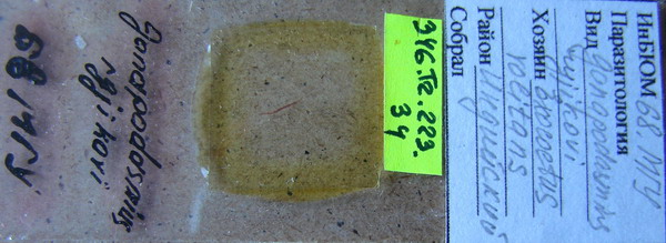 Collection item 346.Tr