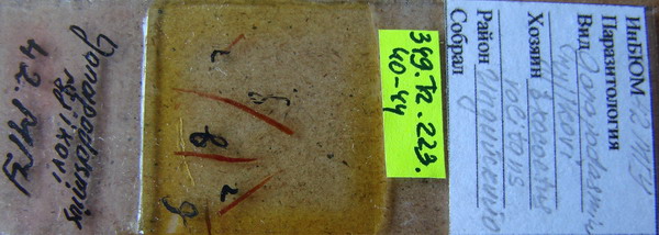 Collection item 349.Tr