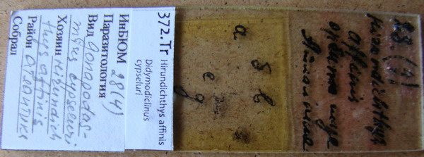 Collection item 372.Tr