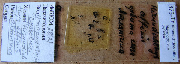 Collection item 373.Tr