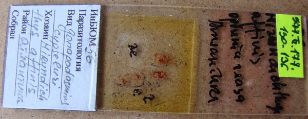 Collection item 377.Tr