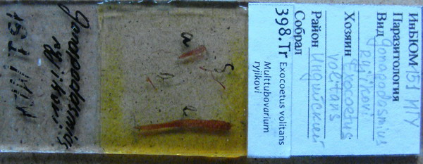 Collection item 398.Tr