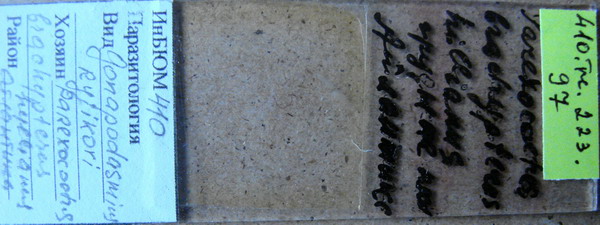 Collection item 410.Tr