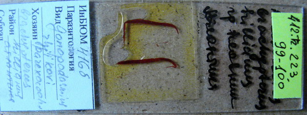 Collection item 412.Tr