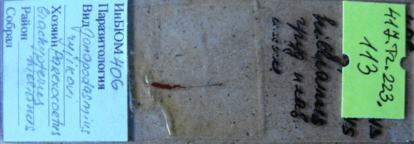 Collection item 417.Tr