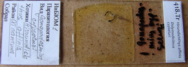 Collection item 418.Tr