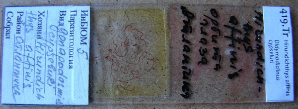 Collection item 419.Tr