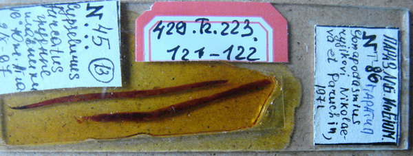 Collection item 429.Tr