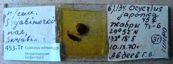 Collection item 453.Tr