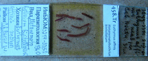 Collection item 458.Tr