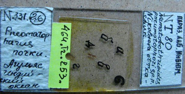 Collection item 464.M